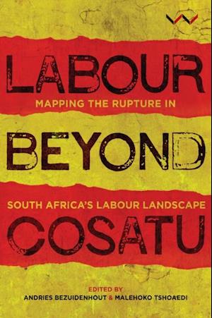 Labour Beyond Cosatu