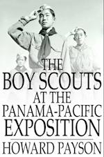 Boy Scouts at the Panama-Pacific Exposition