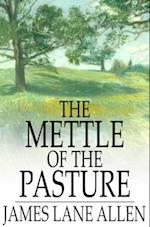 Mettle of the Pasture