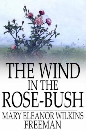 Wind in the Rose-Bush