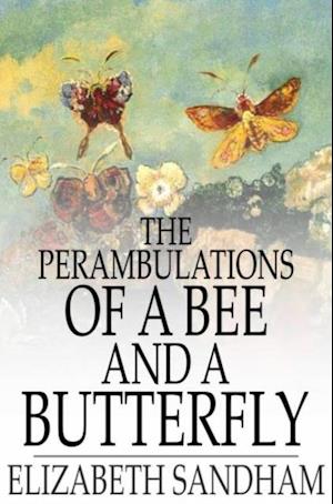 Perambulations of a Bee and a Butterfly