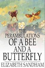 Perambulations of a Bee and a Butterfly