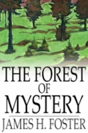 Forest of Mystery