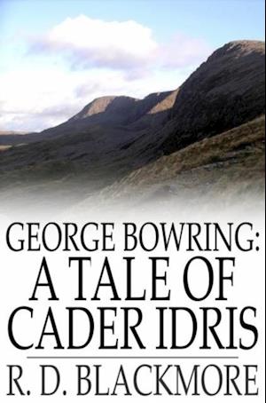 George Bowring: A Tale of Cader Idris