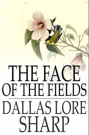 Face of the Fields