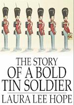 Story of a Bold Tin Soldier