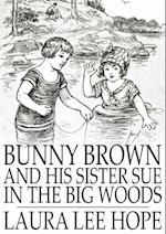 Bunny Brown and His Sister Sue in the Big Woods