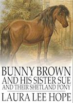 Bunny Brown and His Sister Sue and Their Shetland Pony