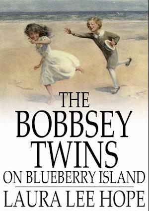 Bobbsey Twins on Blueberry Island