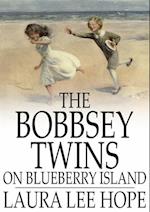 Bobbsey Twins on Blueberry Island