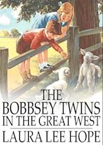 Bobbsey Twins in the Great West