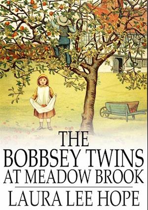 Bobbsey Twins at Meadow Brook