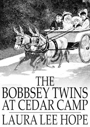 Bobbsey Twins at Cedar Camp