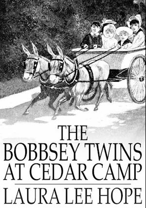 Bobbsey Twins at Cedar Camp