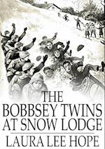 Bobbsey Twins at Snow Lodge