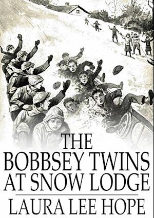 Bobbsey Twins at Snow Lodge