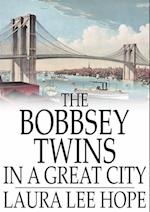 Bobbsey Twins in a Great City