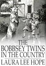 Bobbsey Twins in the Country