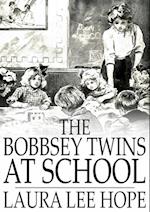 Bobbsey Twins at School