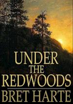 Under the Redwoods