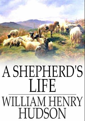 Shepherd's Life