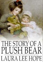 Story of a Plush Bear