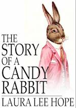 Story of a Candy Rabbit