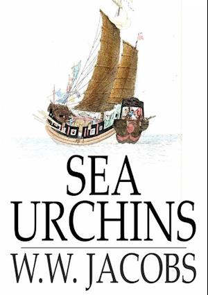 Sea Urchins