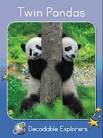 Twin Pandas