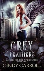 Grey Feathers