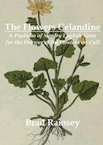 Flowers Celandine