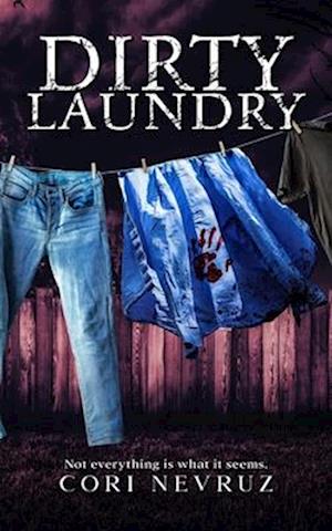 Dirty Laundry : Not everything is what it seems.