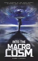 Into the Macrocosm