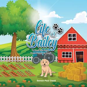 Life of Bailey A True Life Story From Puppy To Dog