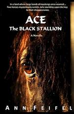 Ace, The Black Stallion