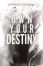 Own Your Destiny 