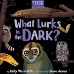 What Lurks in the Dark?