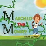 Marcello the Monkey 