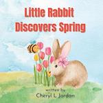 Little Rabbit Discovers Spring: Learn About the Senses 