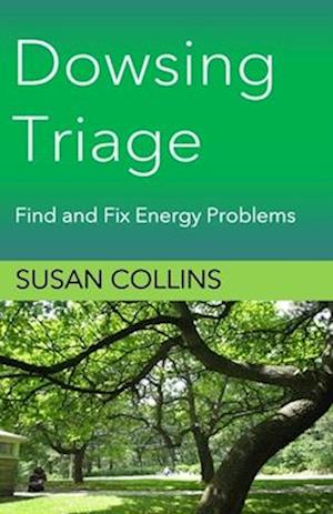 Dowsing Triage: Find and Fix Energy Problems