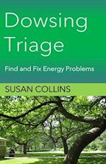 Dowsing Triage: Find and Fix Energy Problems 