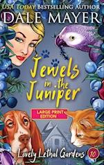 Jewels in the Juniper