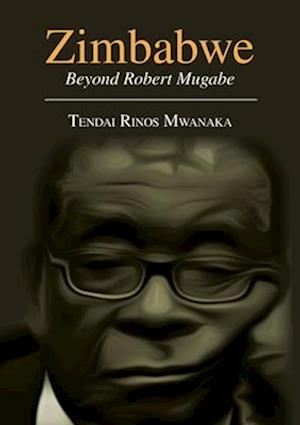 Zimbabwe: Essays, Non Fictions and Letters