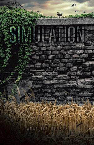 Simulation