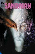 The Sandman: The Deluxe Edition Book Two