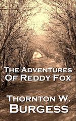 Adventures Of Reddy Fox