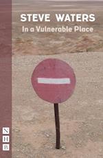 In a Vulnerable Place (NHB Modern Plays)