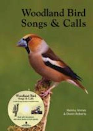 Woodland Bird Songs & Calls