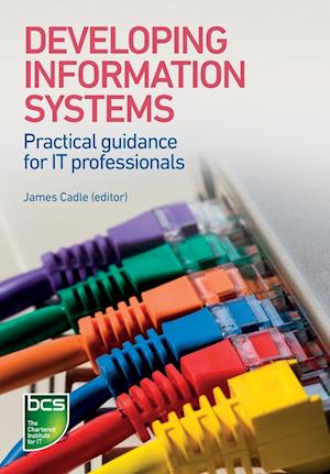 Developing Information Systems