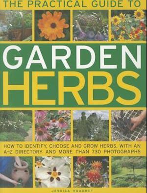 Practical Guide to Garden Herbs